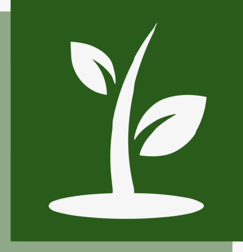 Genesis Research Consultancy Limited: About the company